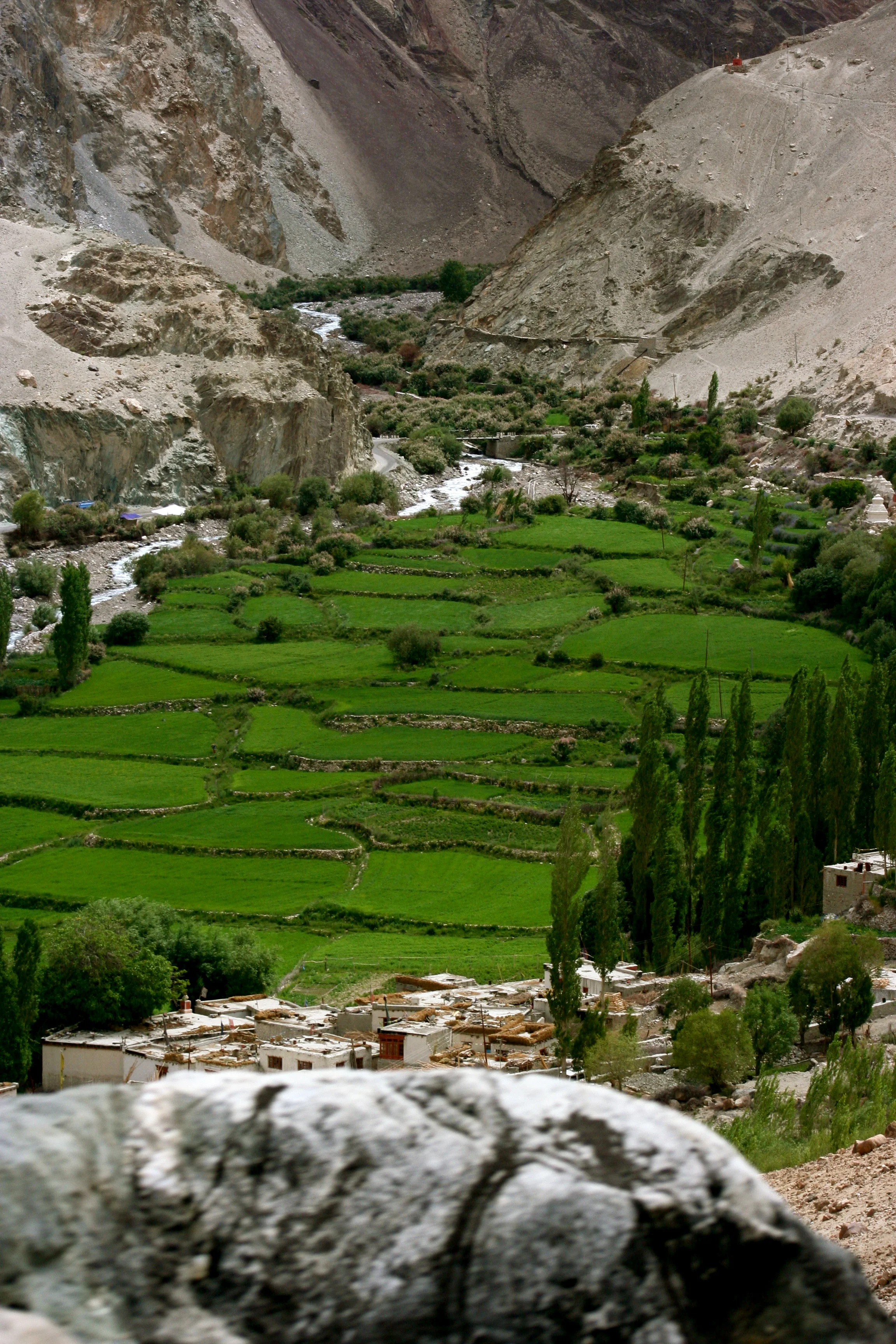 Ladakh July 10, 2008-84.JPG