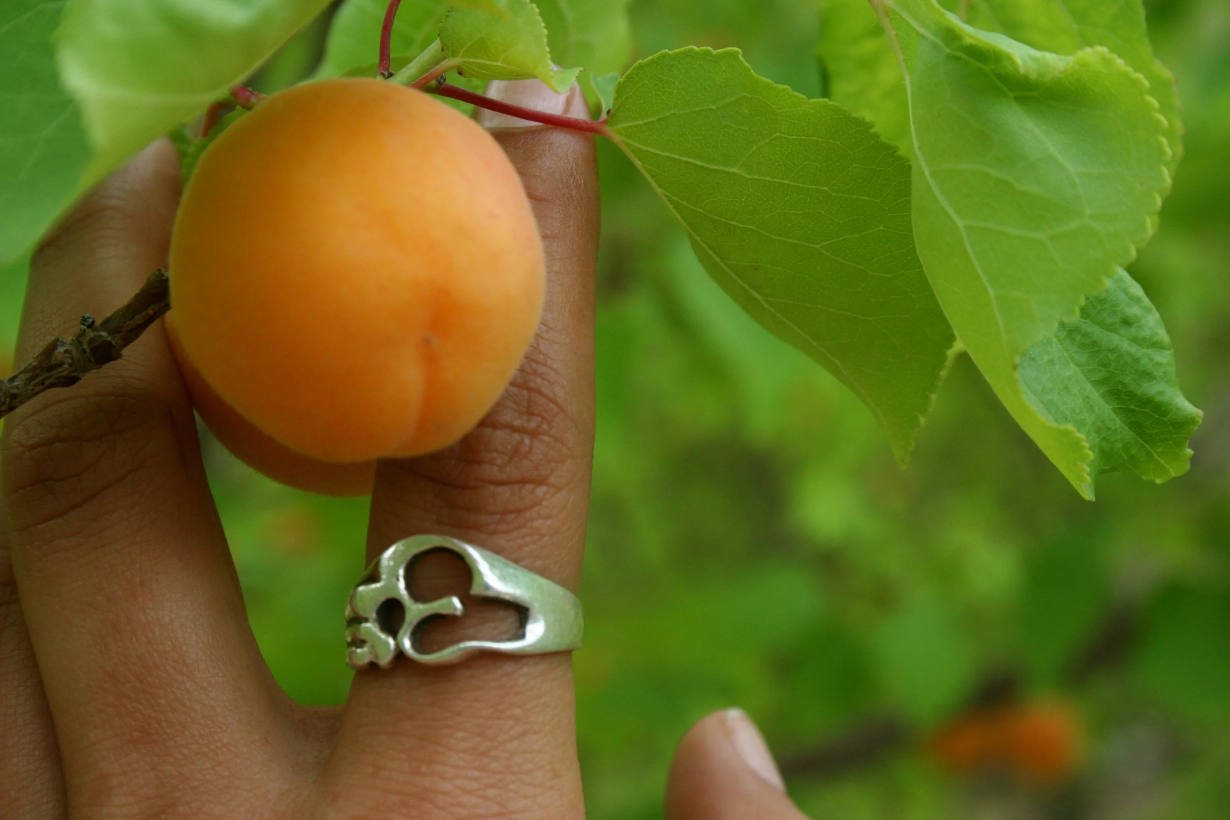 Ladakh July 14, 2008-42.JPG