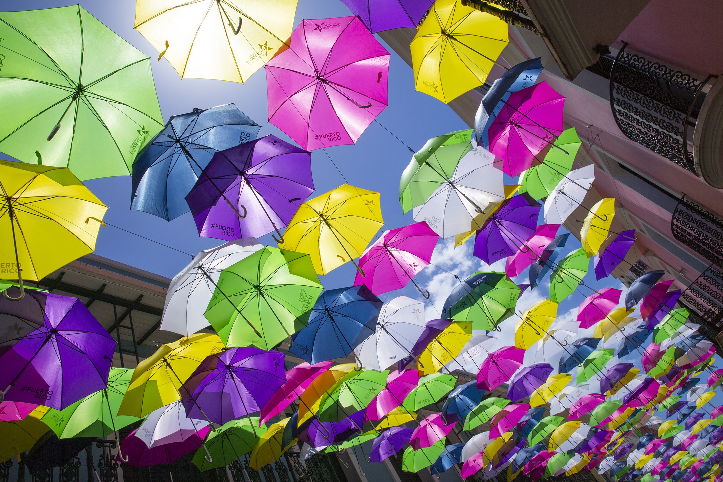 PR_Umbrellas_1.jpg