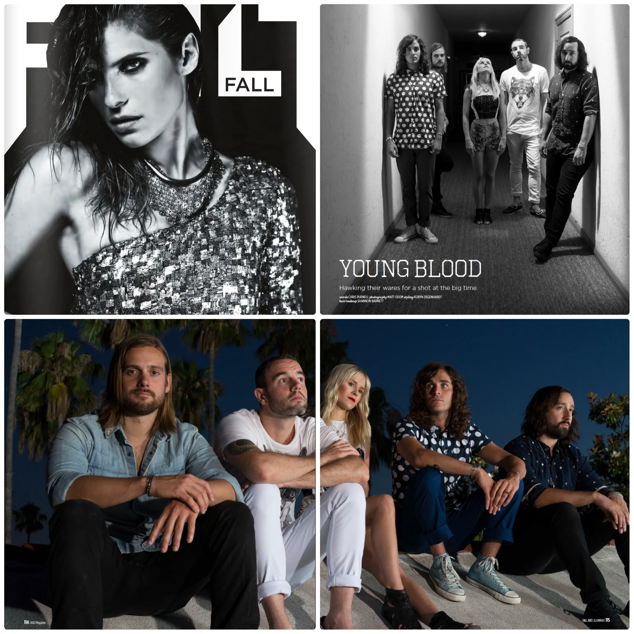 Youngblood Hawke in Fault Fall 2013.jpg