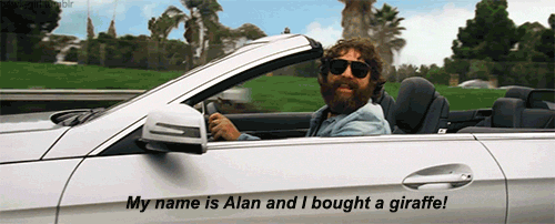 tumblr_mmvaqmnprX1qfo44fo1_500.gif