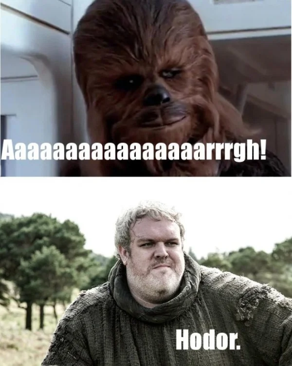 chewbacca-vs.-hodor-660x825.jpg