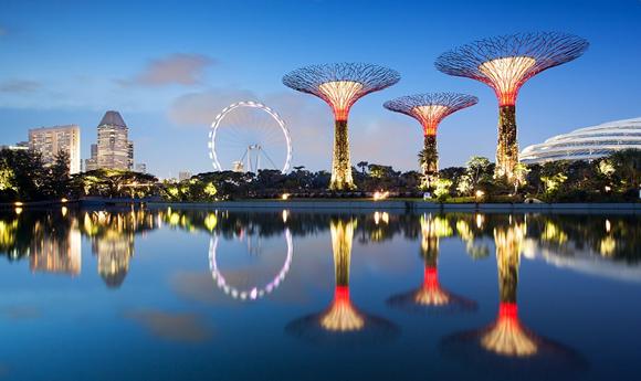 super-trees-singapore.jpg