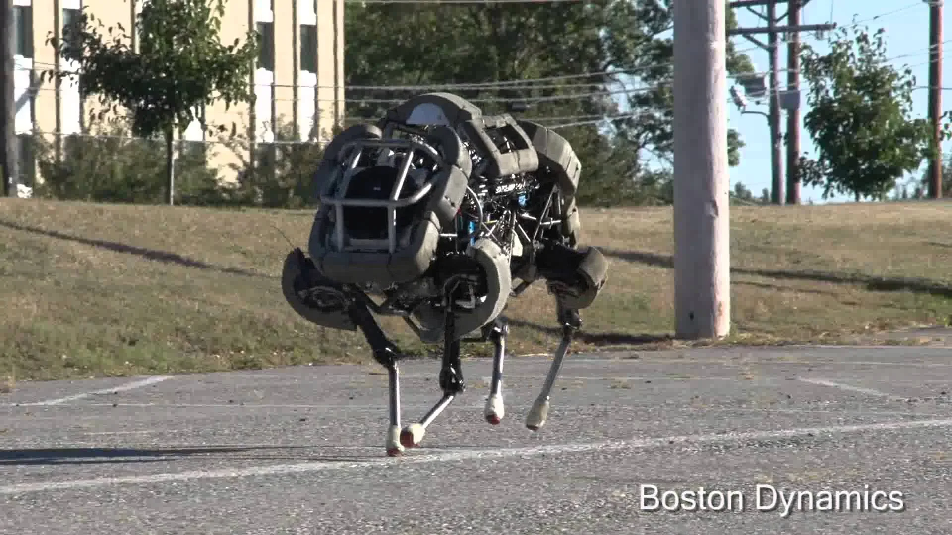 boston dynamics wildcat robot.jpg