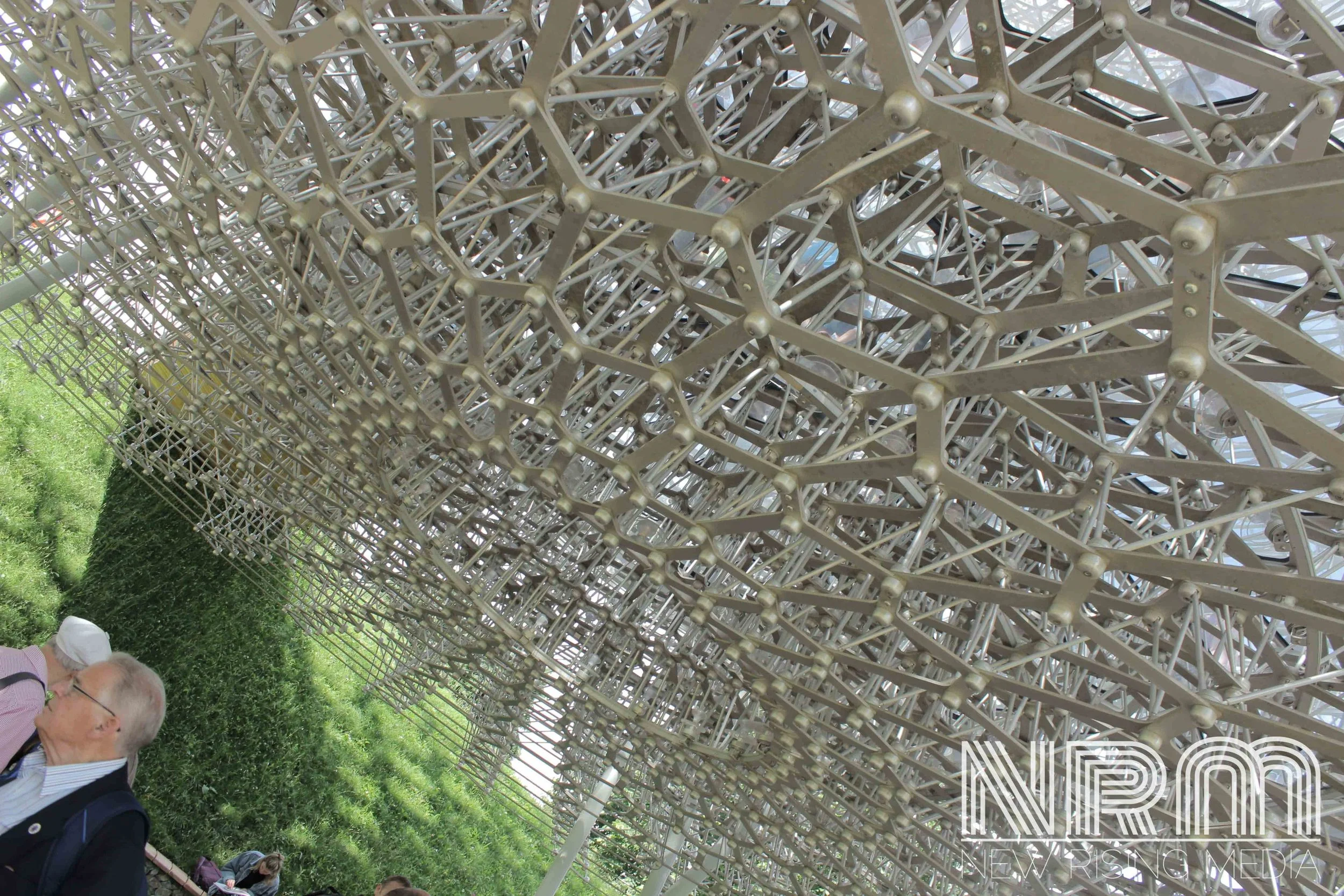 IMG_3212-min copy.jpg