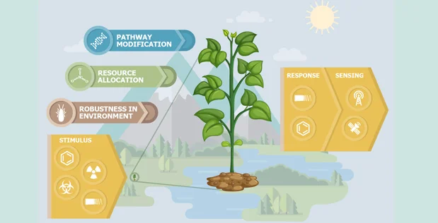 APT Graphic-619x316.jpg