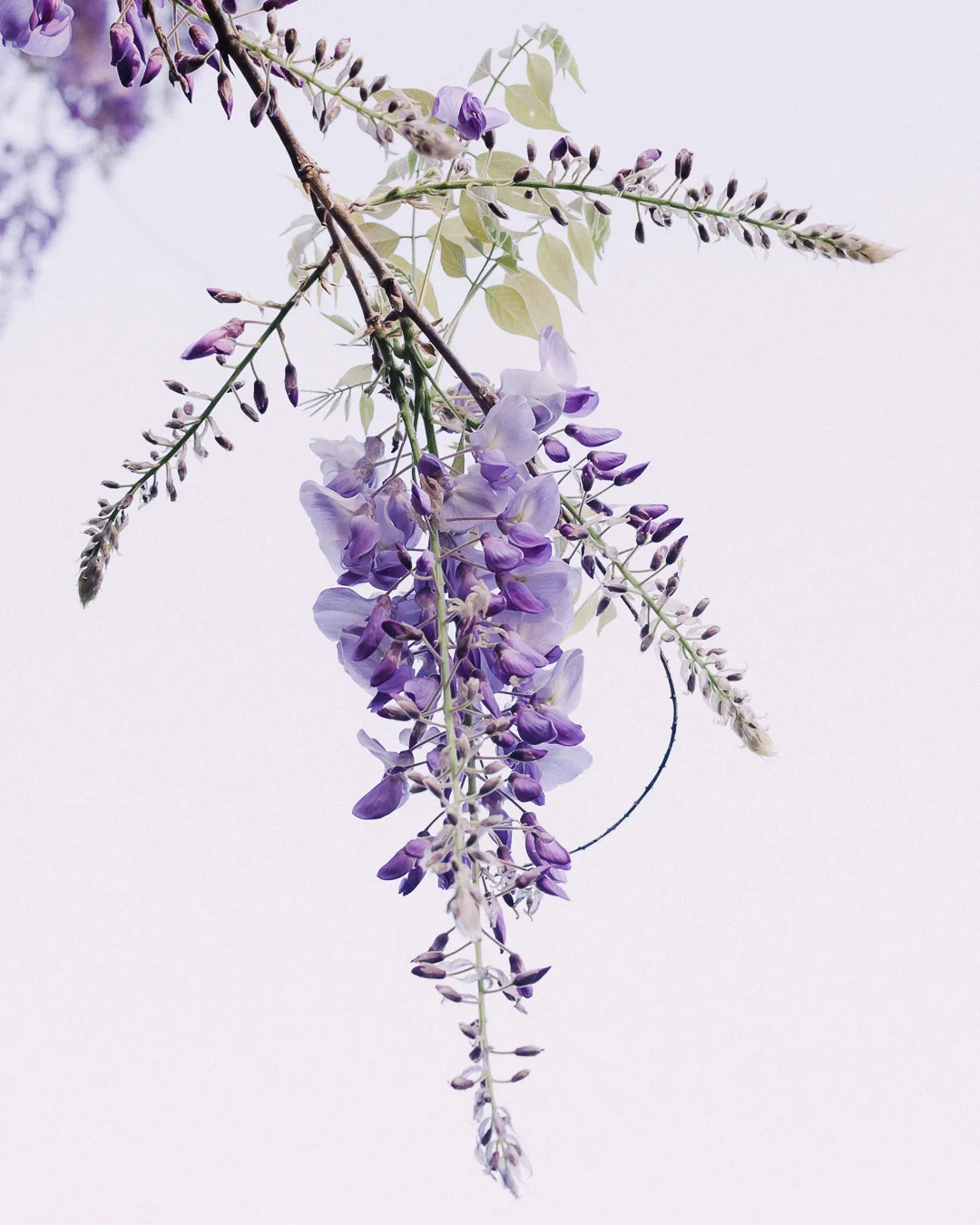 20190510-untitled shoot-6399.jpg