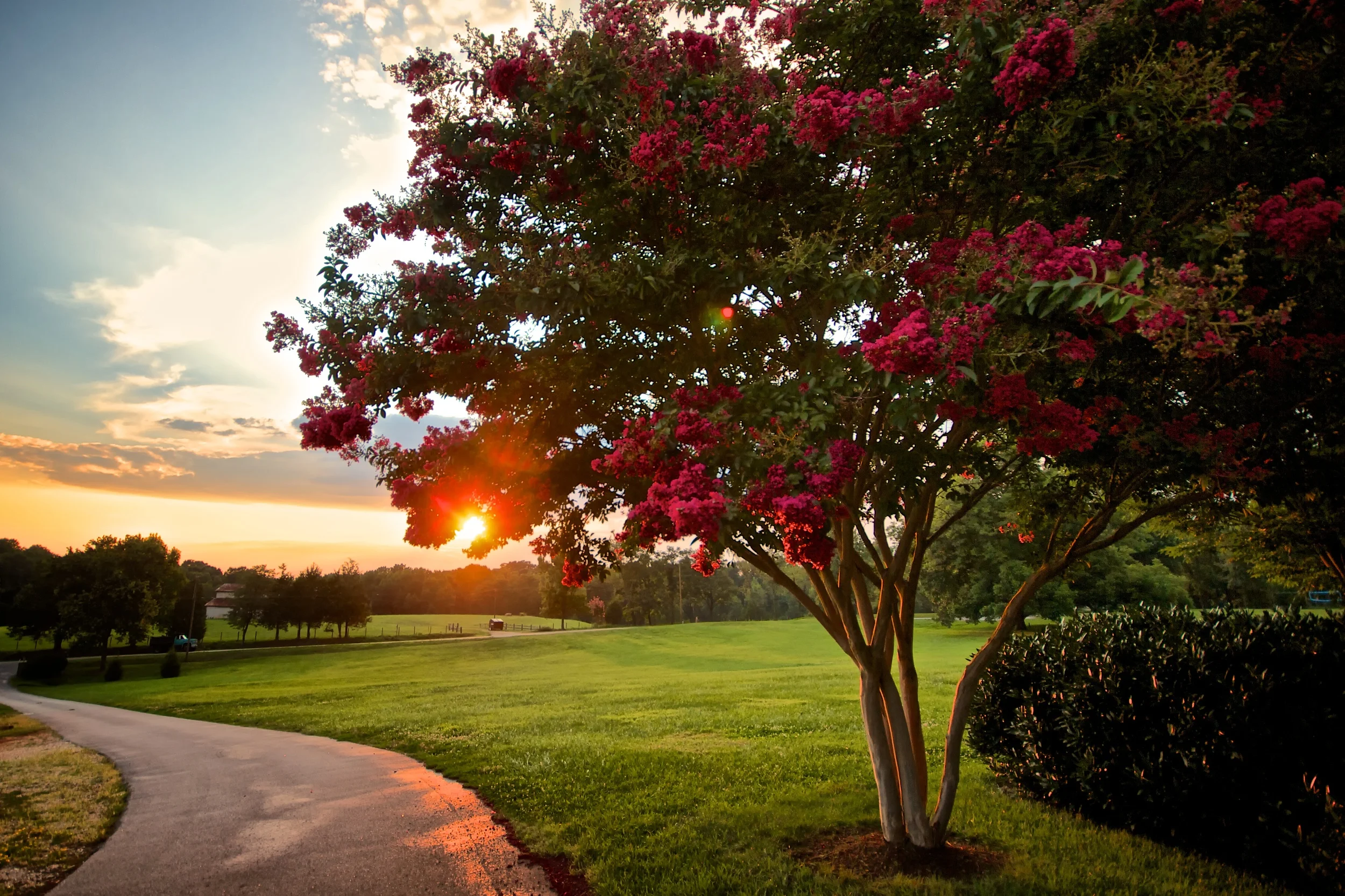 New Year. New Mercies. New Things.