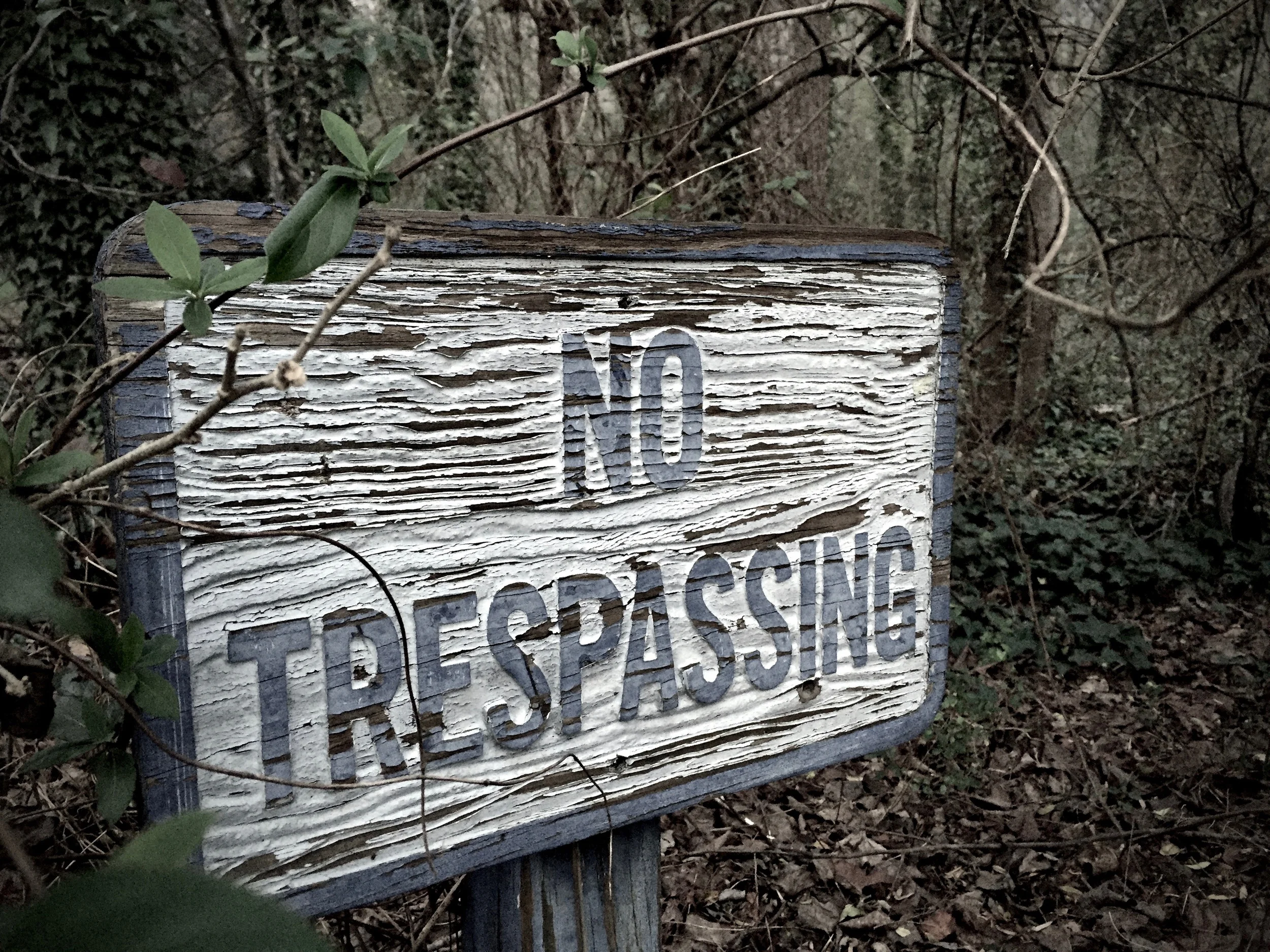 Losing (and Finding) My Camera and Gaining 2016