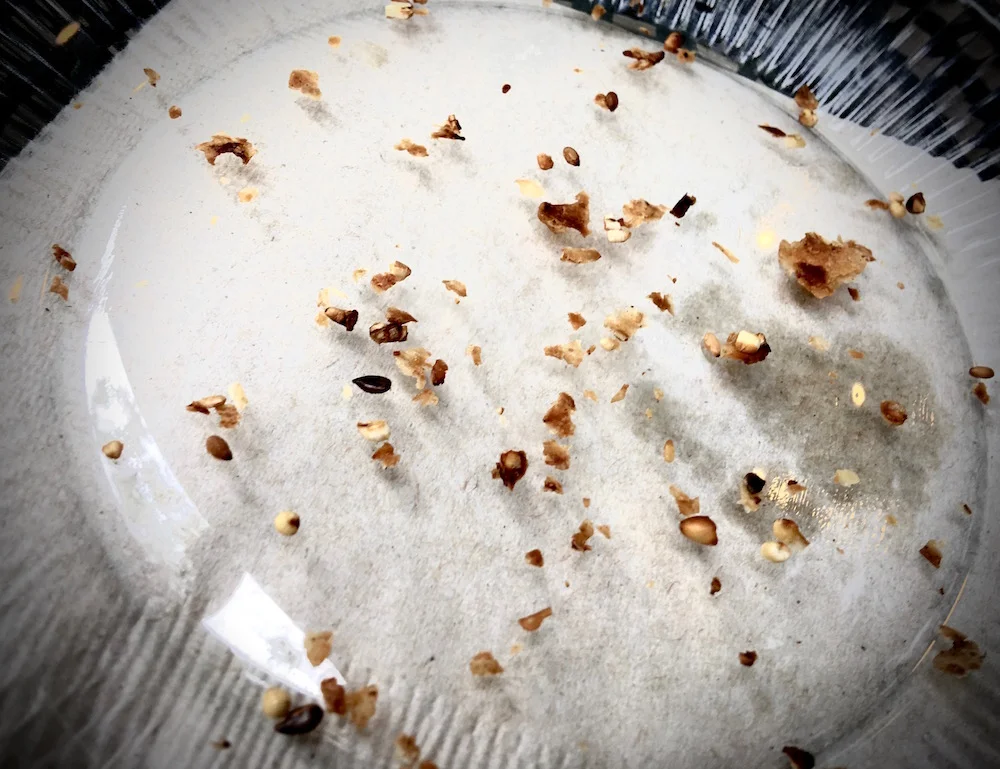 facing famine in southern africa: a pop song is not going solve this