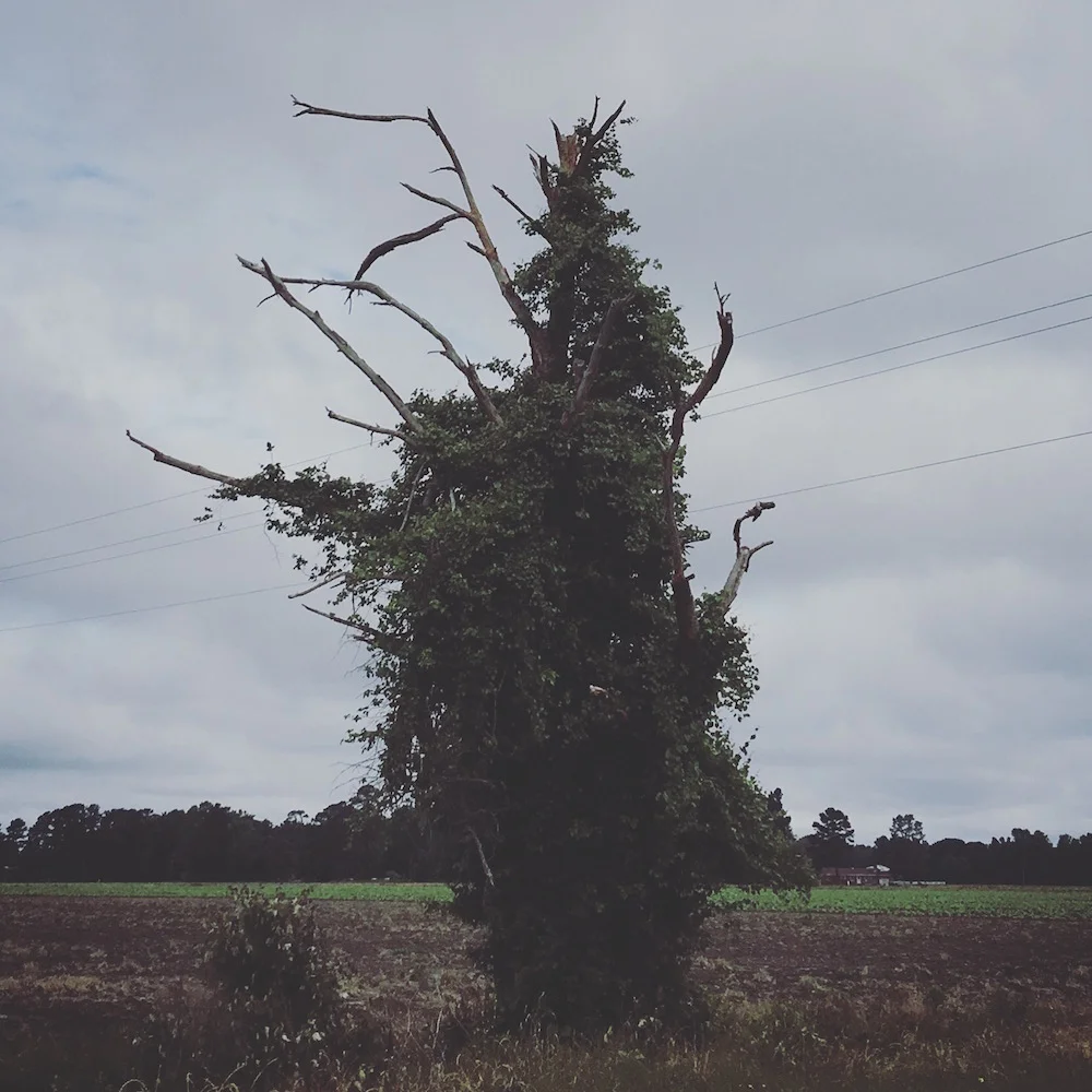 two-lane highways and I85