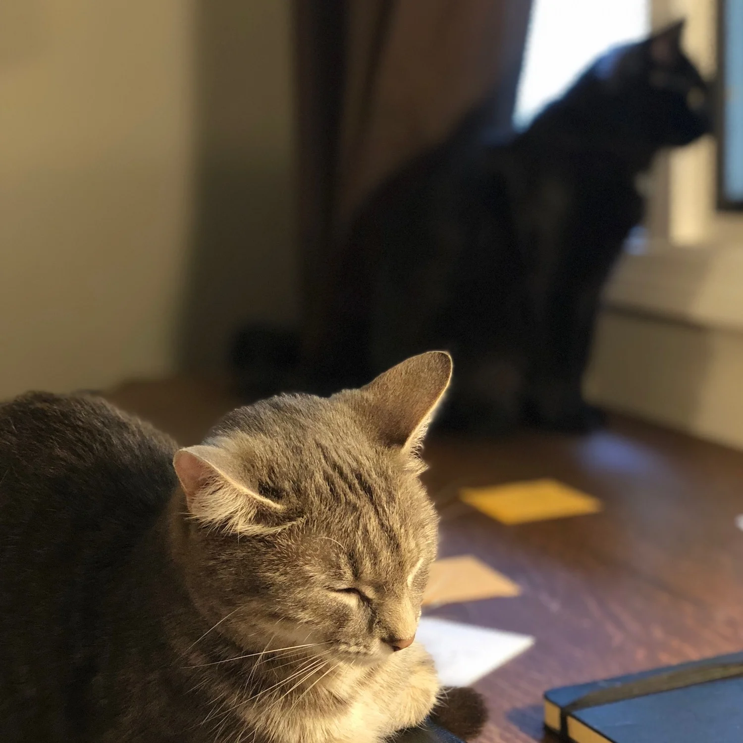 Don't Be A Meme: Use Both Sides of Your Brain