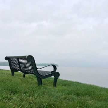 IMG_0801.jpeg