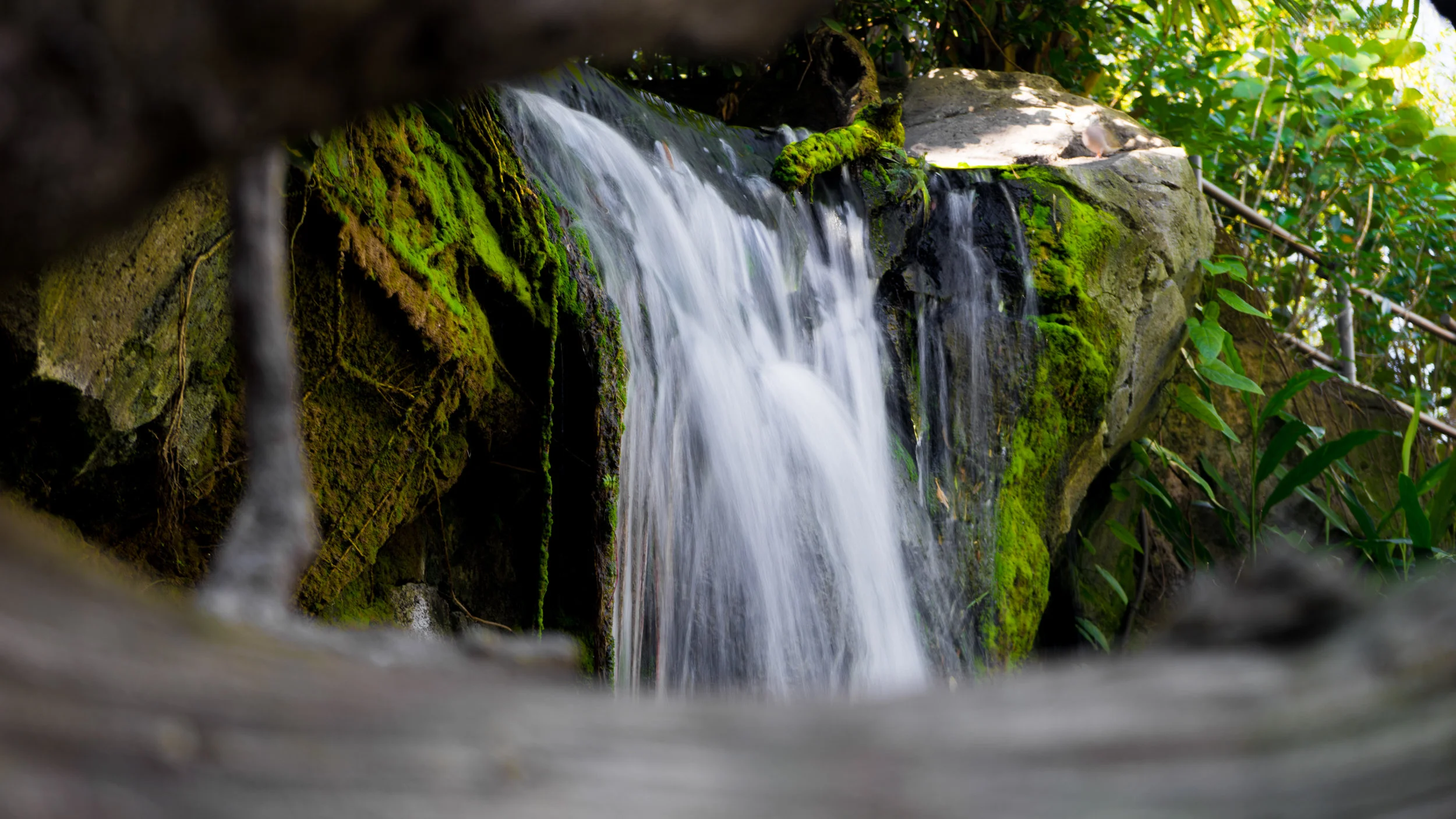 Look at the water fall through the trees