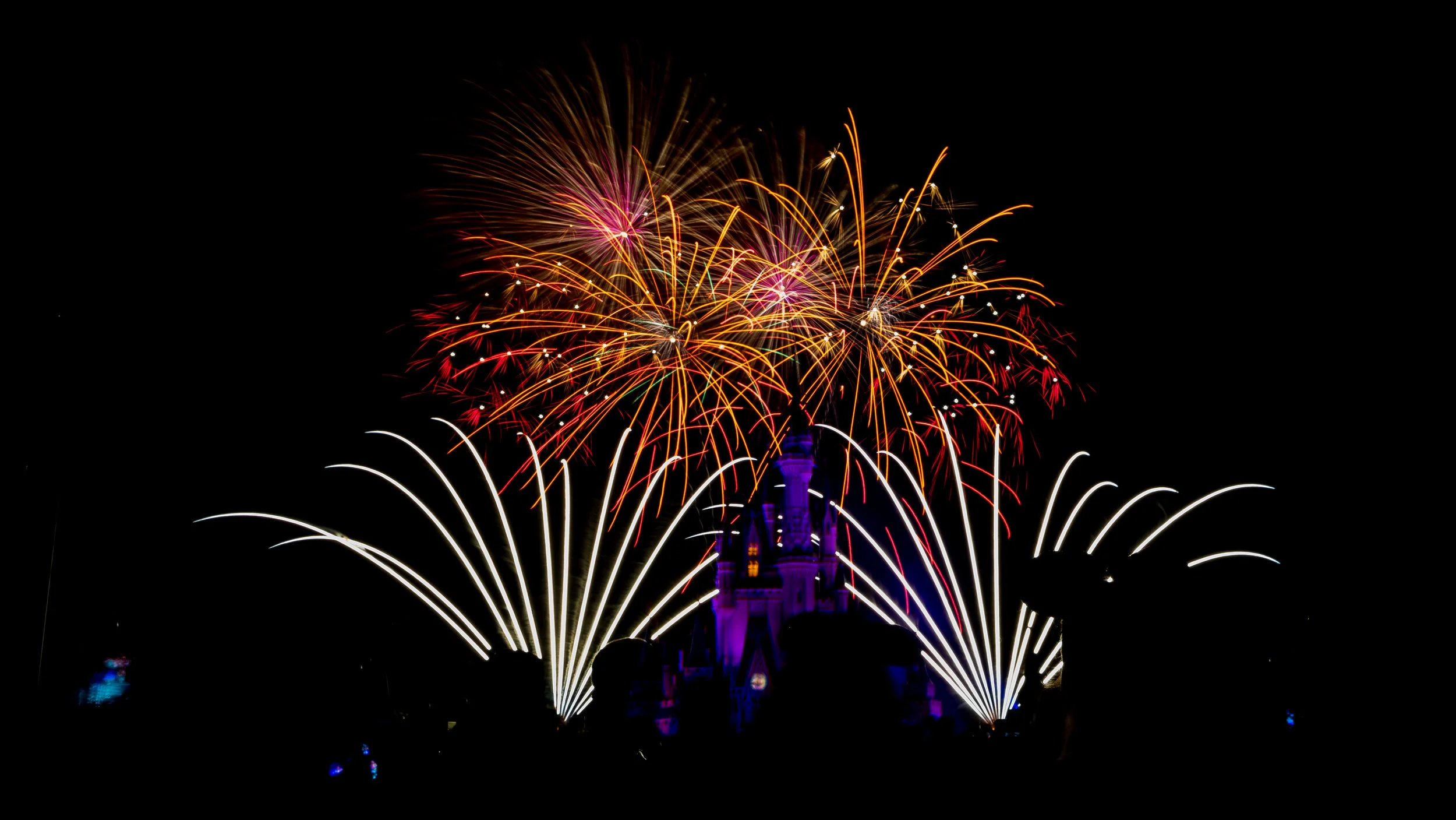 Some fun at Magic Kingdom