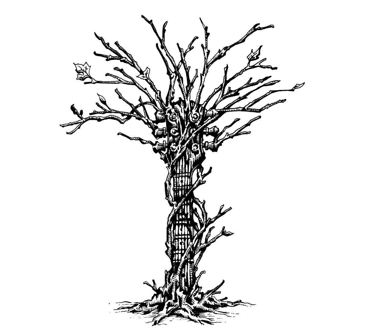 bottlerock_jfelix4.png