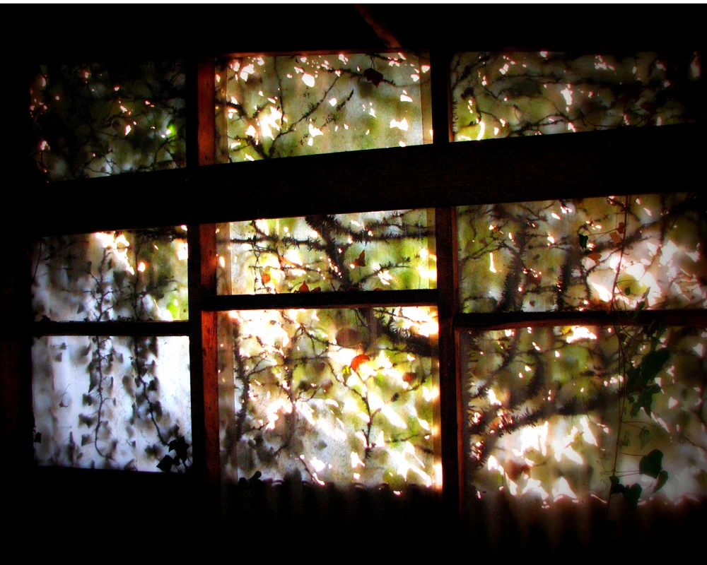 grandfatherwindow.jpg