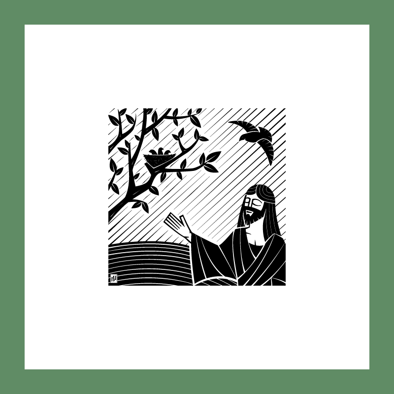 C44-SAMPLE-03.png