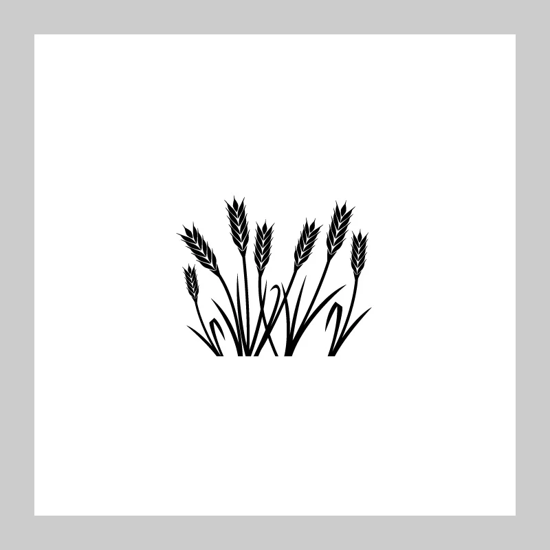 M36-SAMPLE-02.jpg