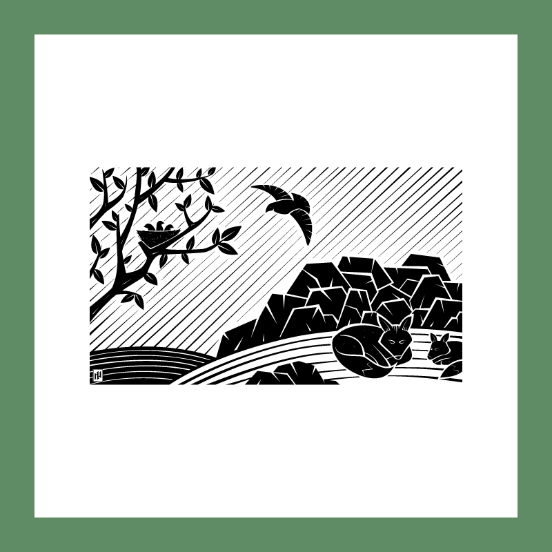 C44-SAMPLE-02.png