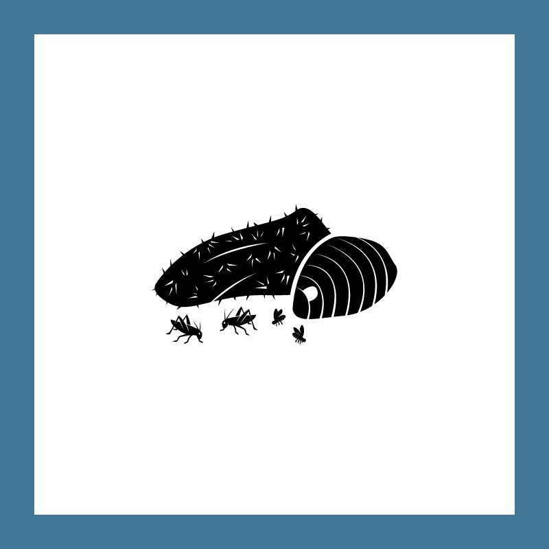 A03-SAMPLE-03.jpg