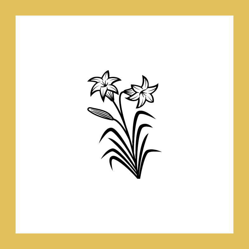 C30-SAMPLE-02.png