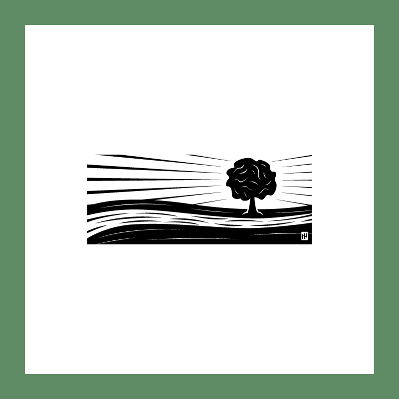 C15-SAMPLE-02.png