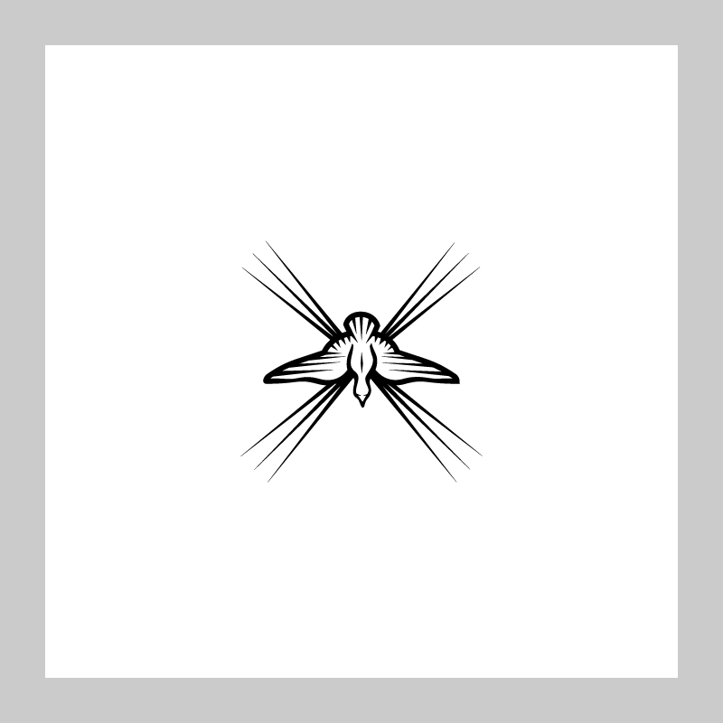 C10-SAMPLE-03.png