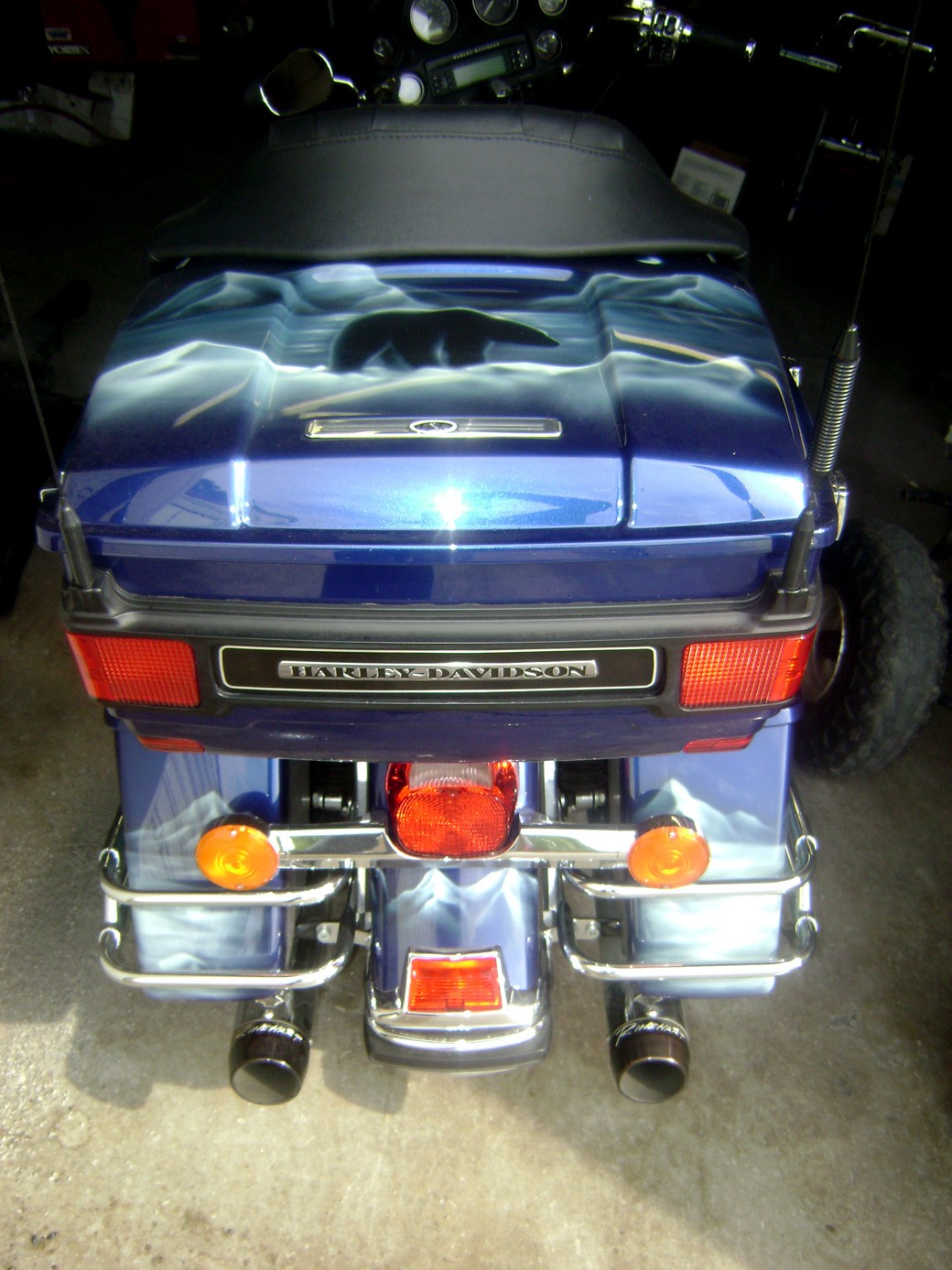 polar bear bike 3.jpg