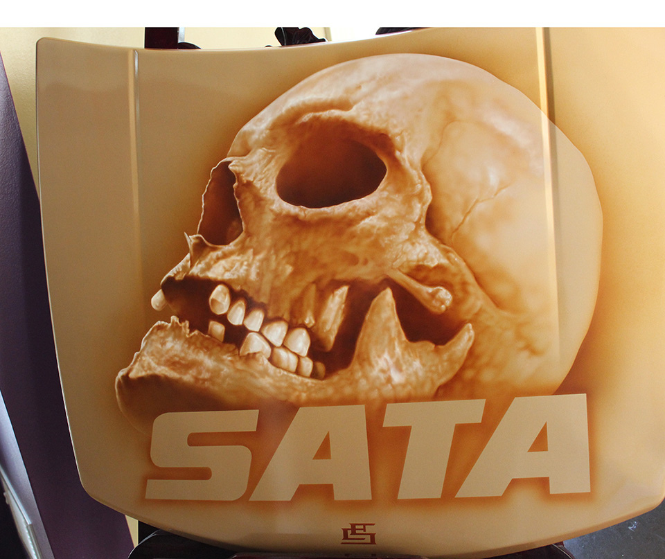 Skull-Sata.jpg