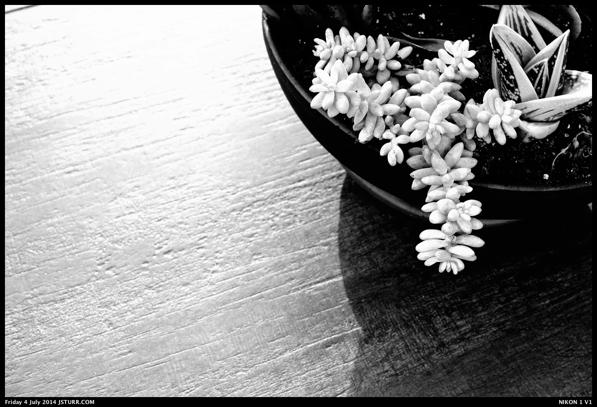 Nikon 1 V1 - 18.5mm No Crop