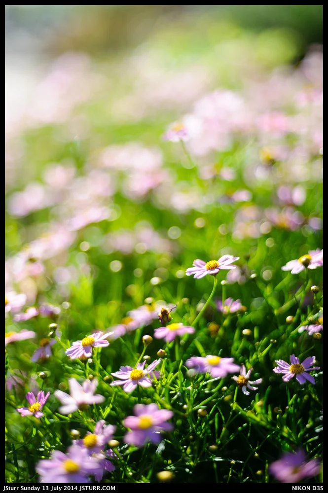 _JTS3271-border.jpg