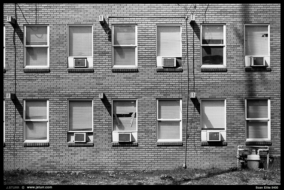 Nikon F100 on Ilford HP5+