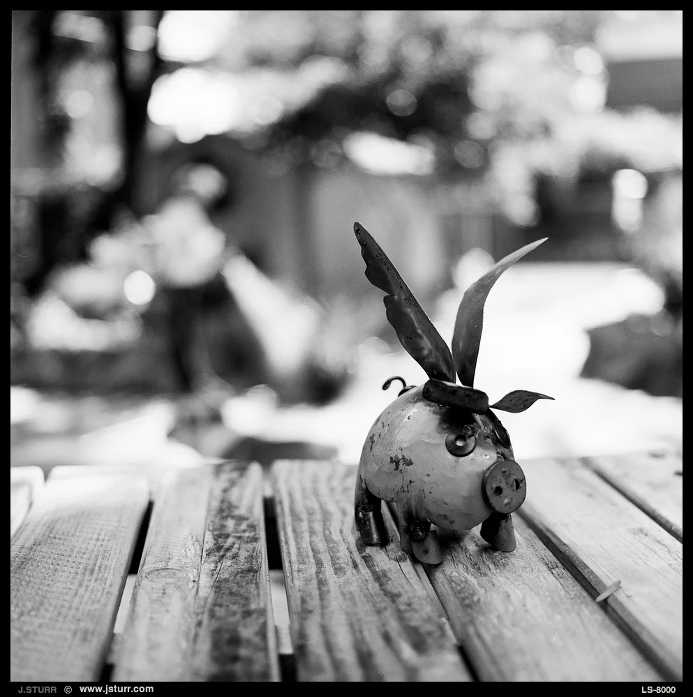 Fuji Acros 100 - Stand Development - Rollei 6008 Integral