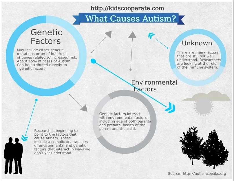 What are the causes of Autism?