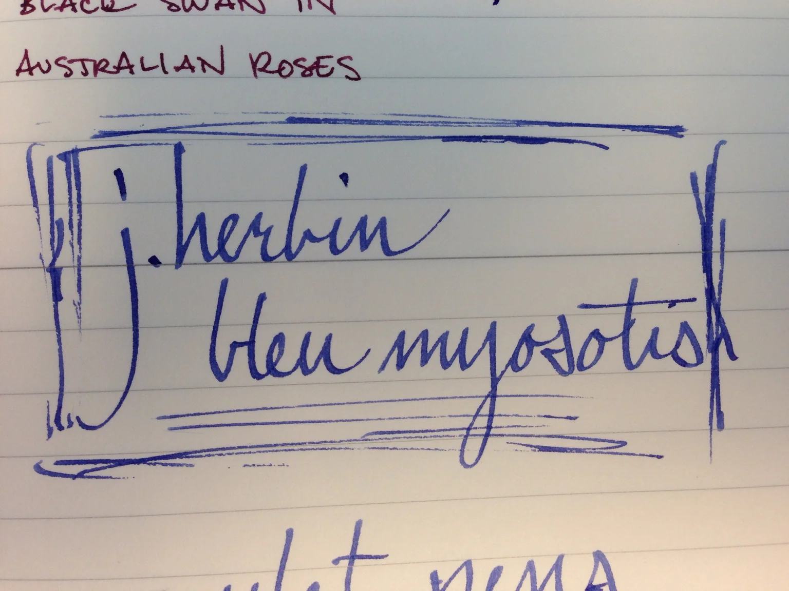 J. Herbin Bleu Myosotis on Midori lined notebook