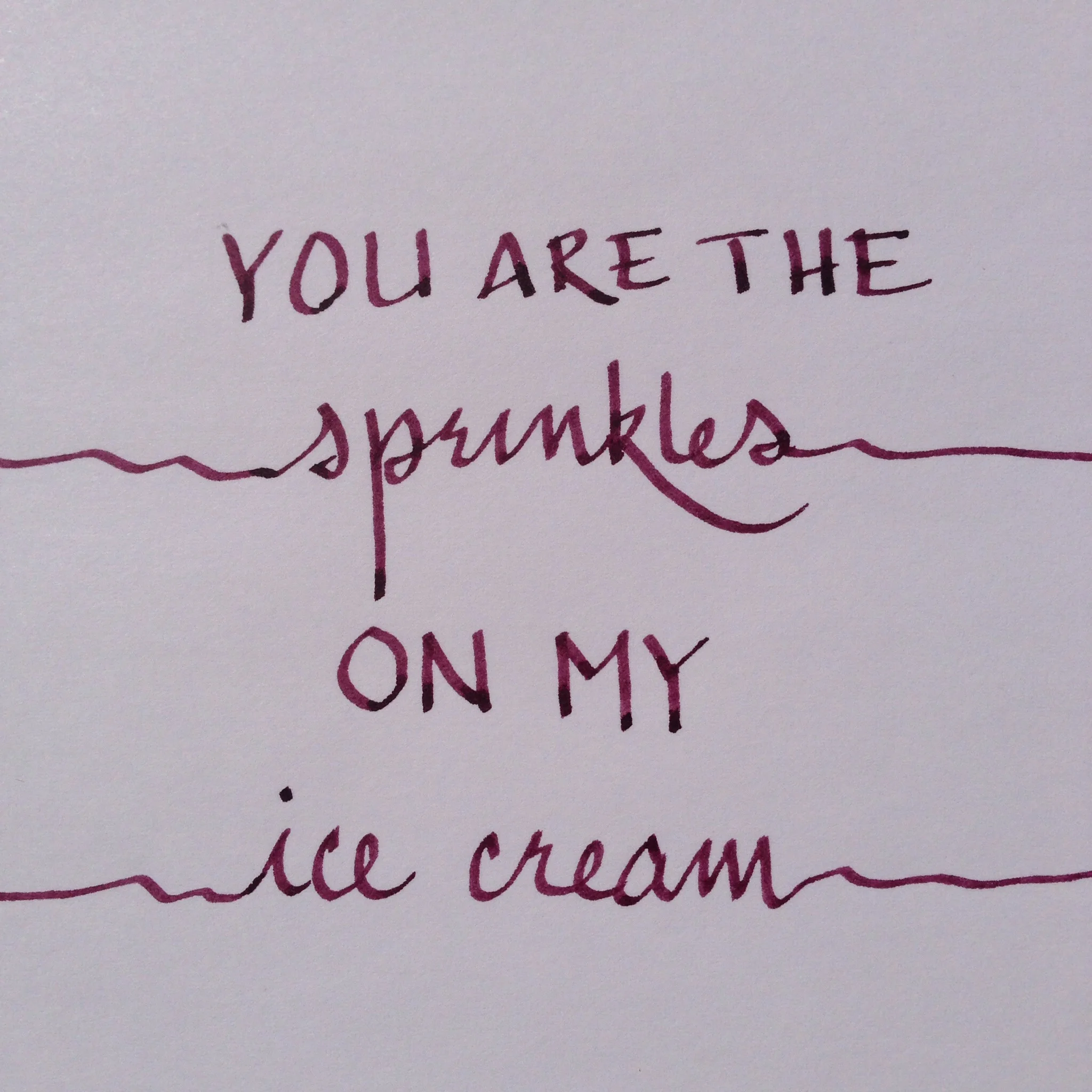 Done with a Monteverde Prima 1.1 mm nib, and Noodler's Black Swan in Australian Roses ink.