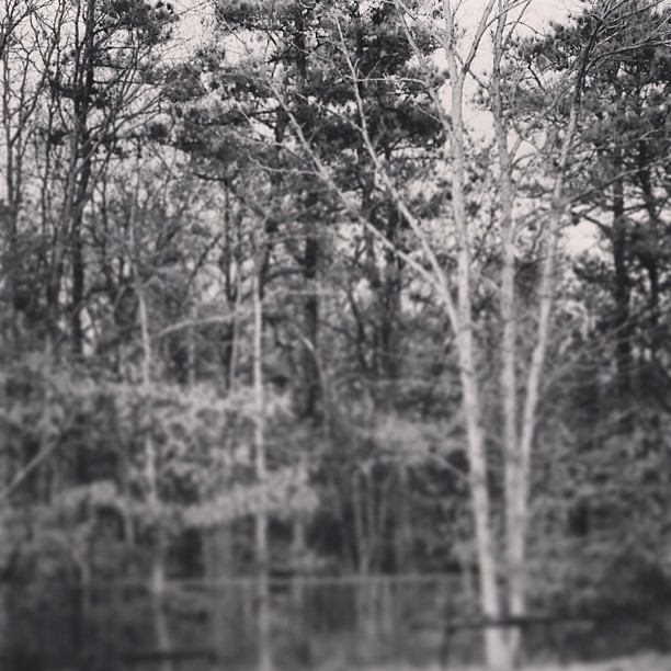 View_httpdistilleryimage8.s3.amazonaws.com06c6c95c449411e28b9422000a1fbe38_7.jpg