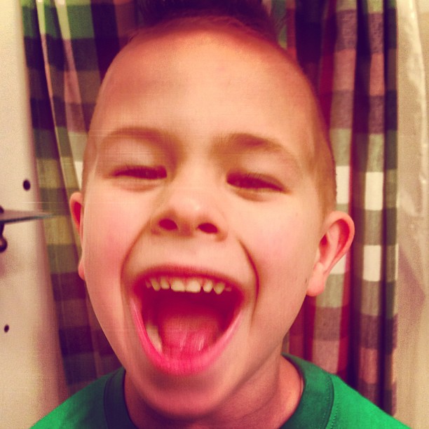 Goofball___declan__minimohawk.jpg