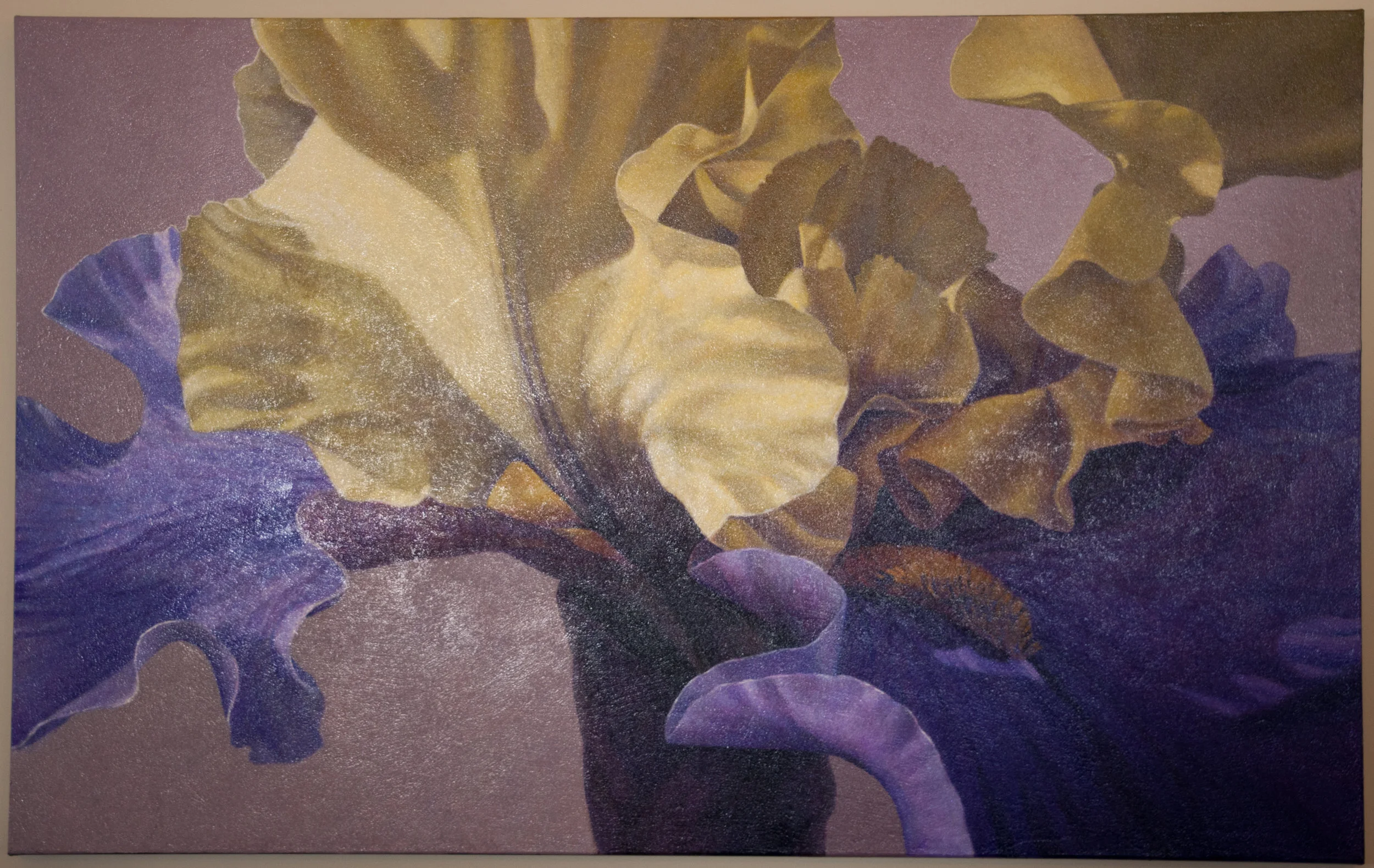 Photos from Last Year's Theme: New Creation, New Life.