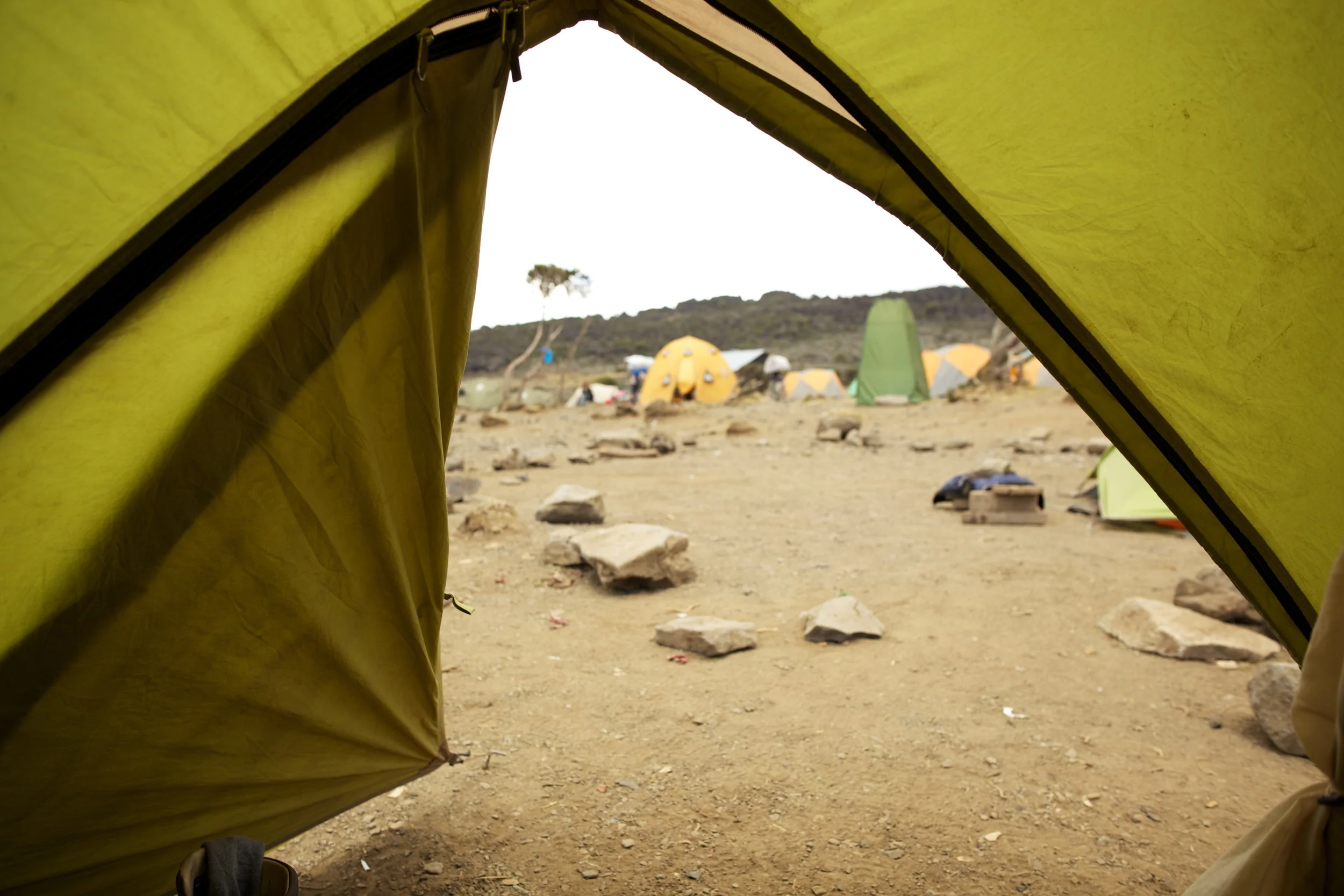 Shira Camp, 3940 asml, Kilimanjaro (TZ), Sep 2012