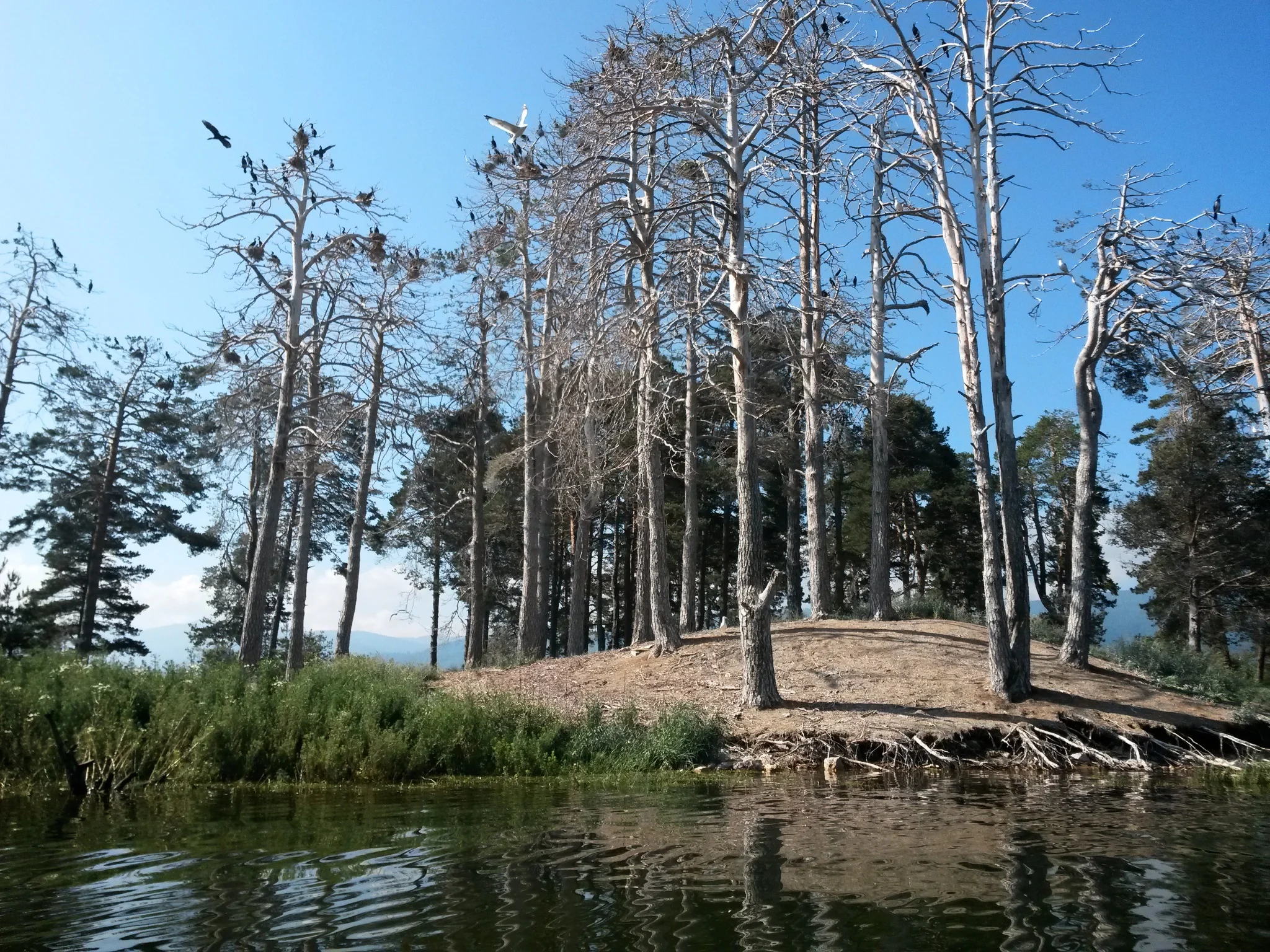 The "Island of the Dead" North shore