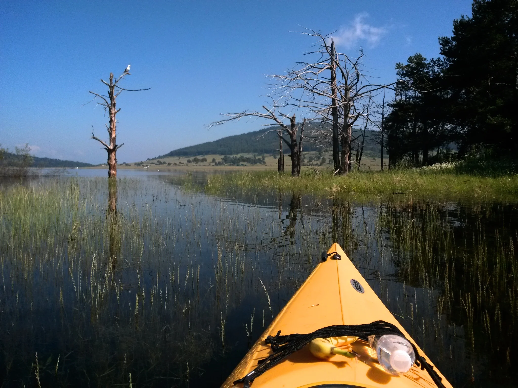 "Island of the Dead" East shore