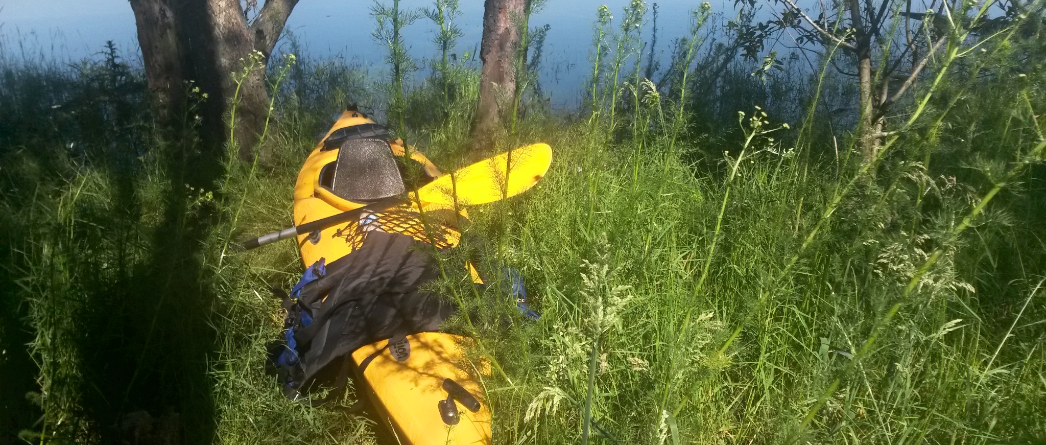Georgi's kayak