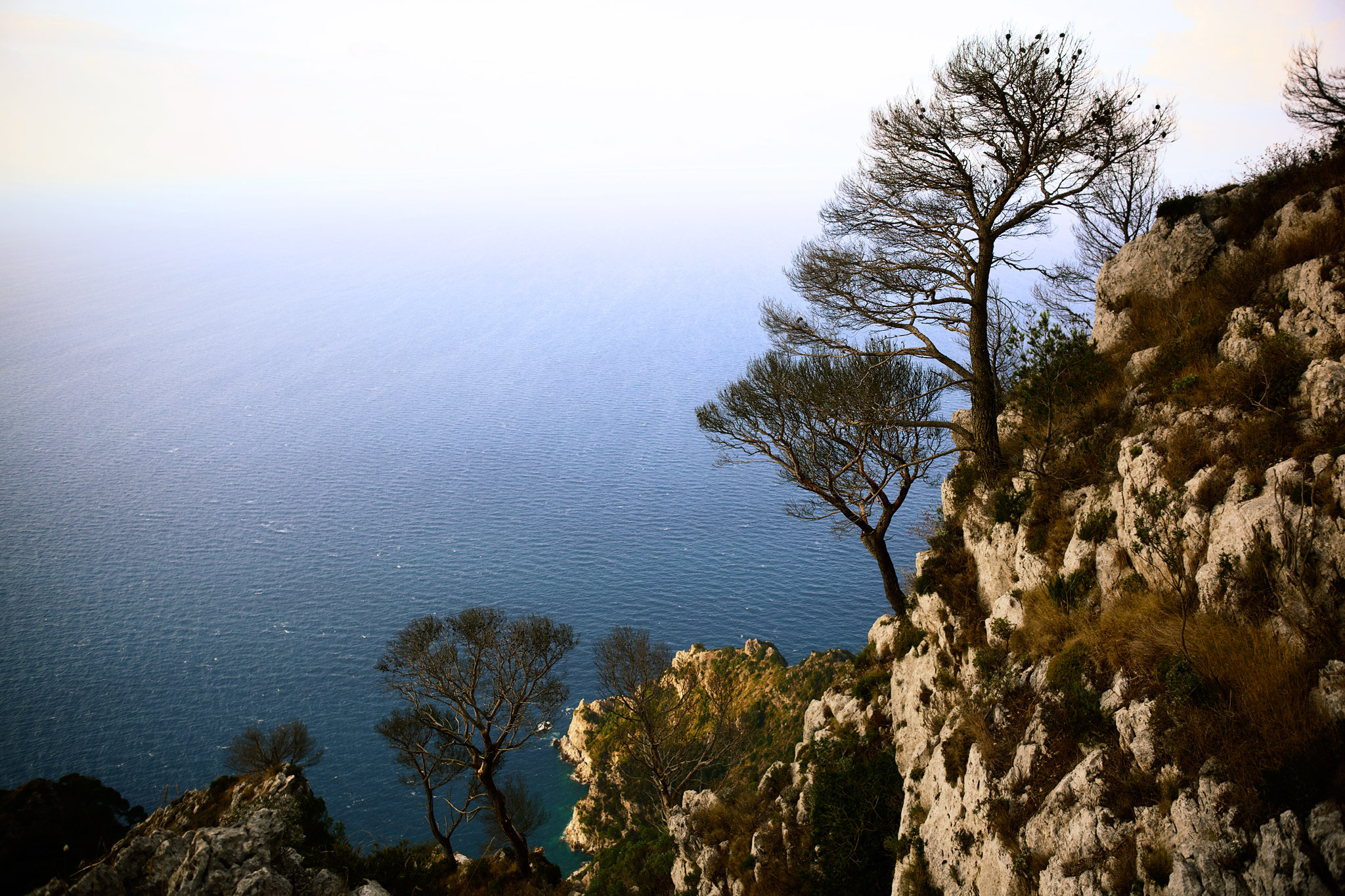 Capri
