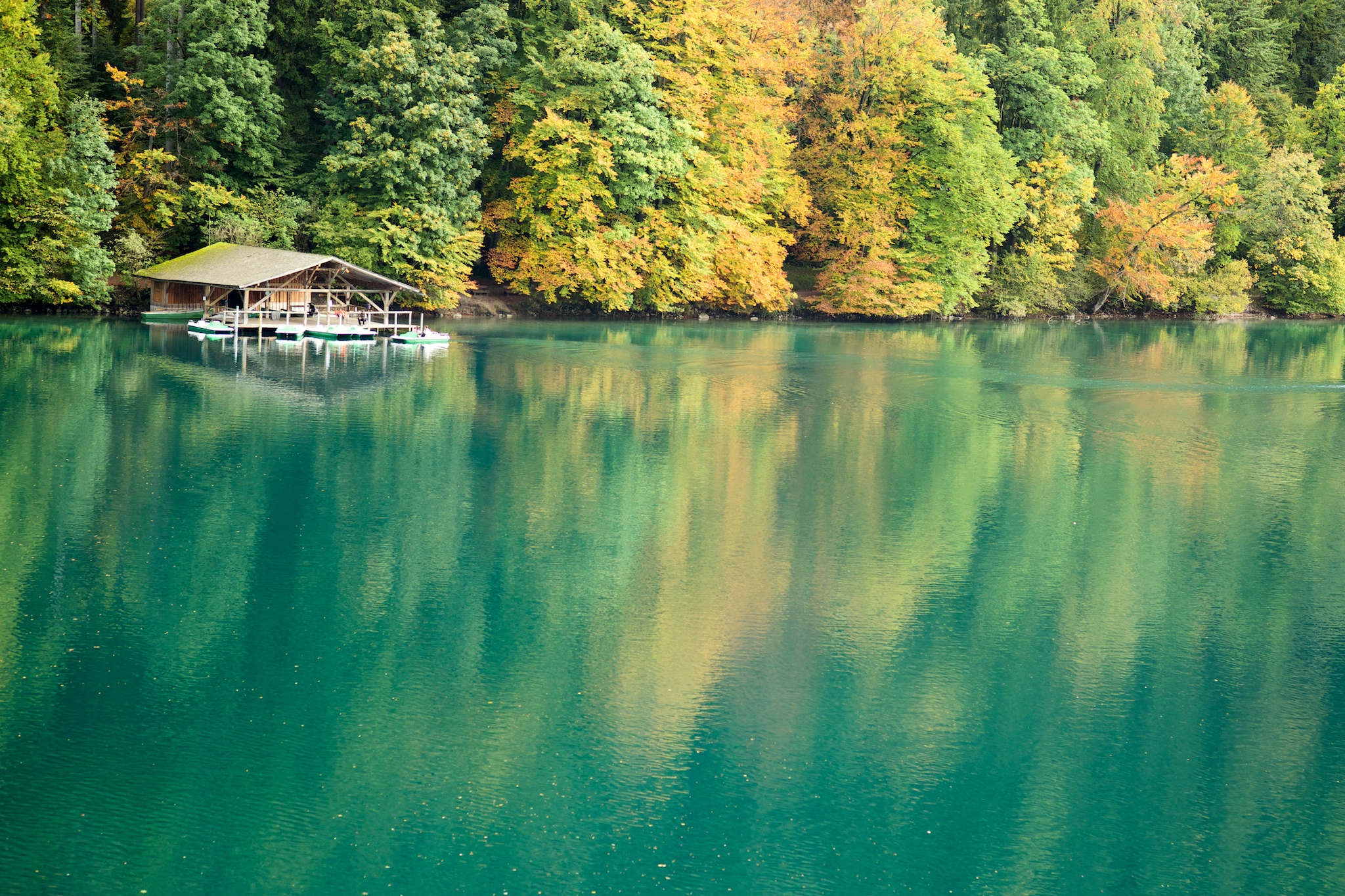 Fall in Alpsee Lake