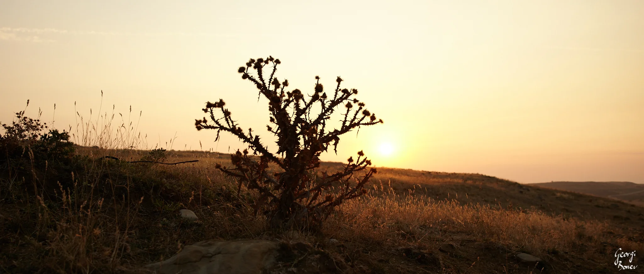 Sunrise near Kozichino village, Bulgaria
