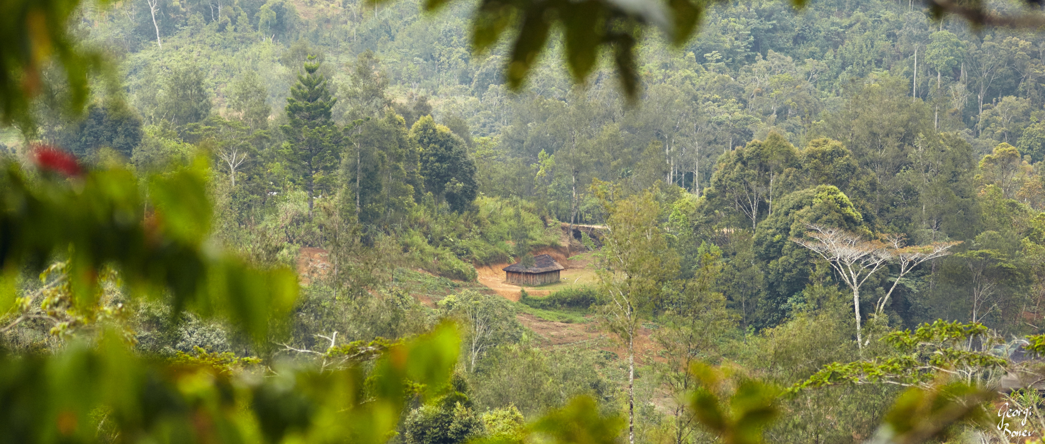 Huli Wigmen Village, PNG