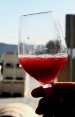 Gorgeous Corallina juice