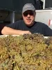 Munching on marsanne